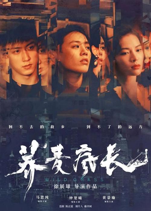九州歯科大学市场营销文凭证书